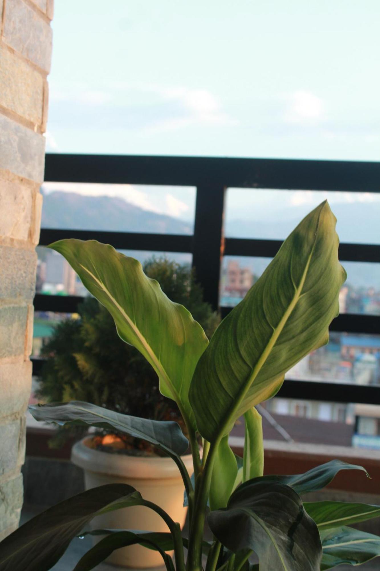Hotel Yatri Pokhara Dış mekan fotoğraf